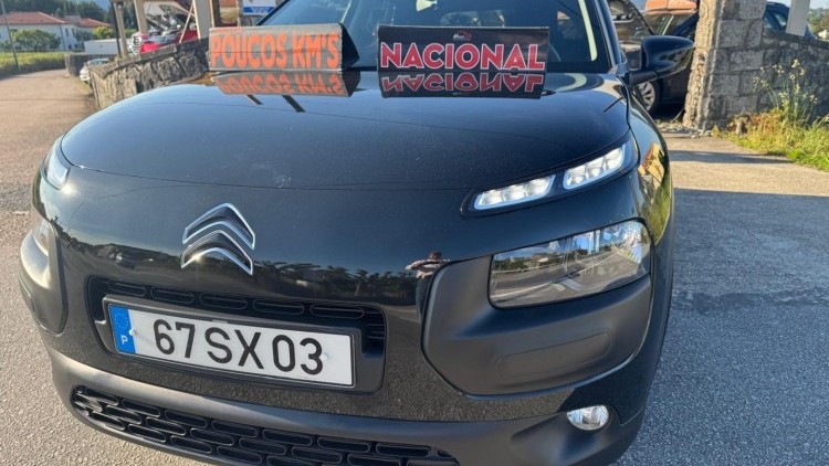 Citro&euml;n C4 Cactus