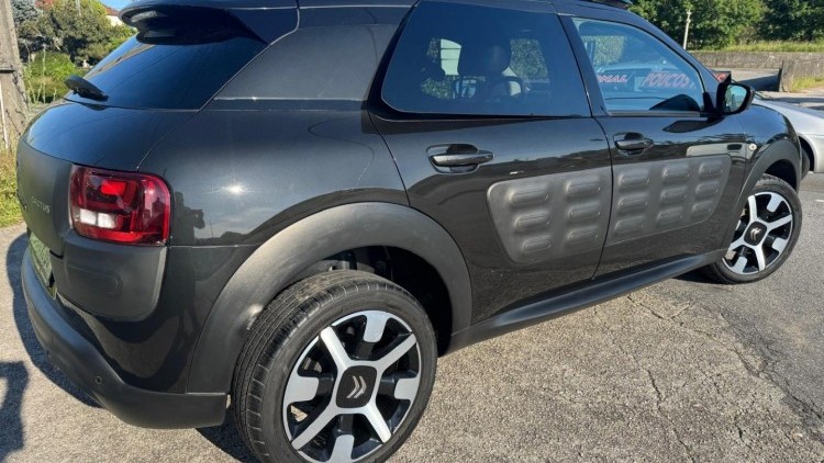 Citro&euml;n C4 Cactus